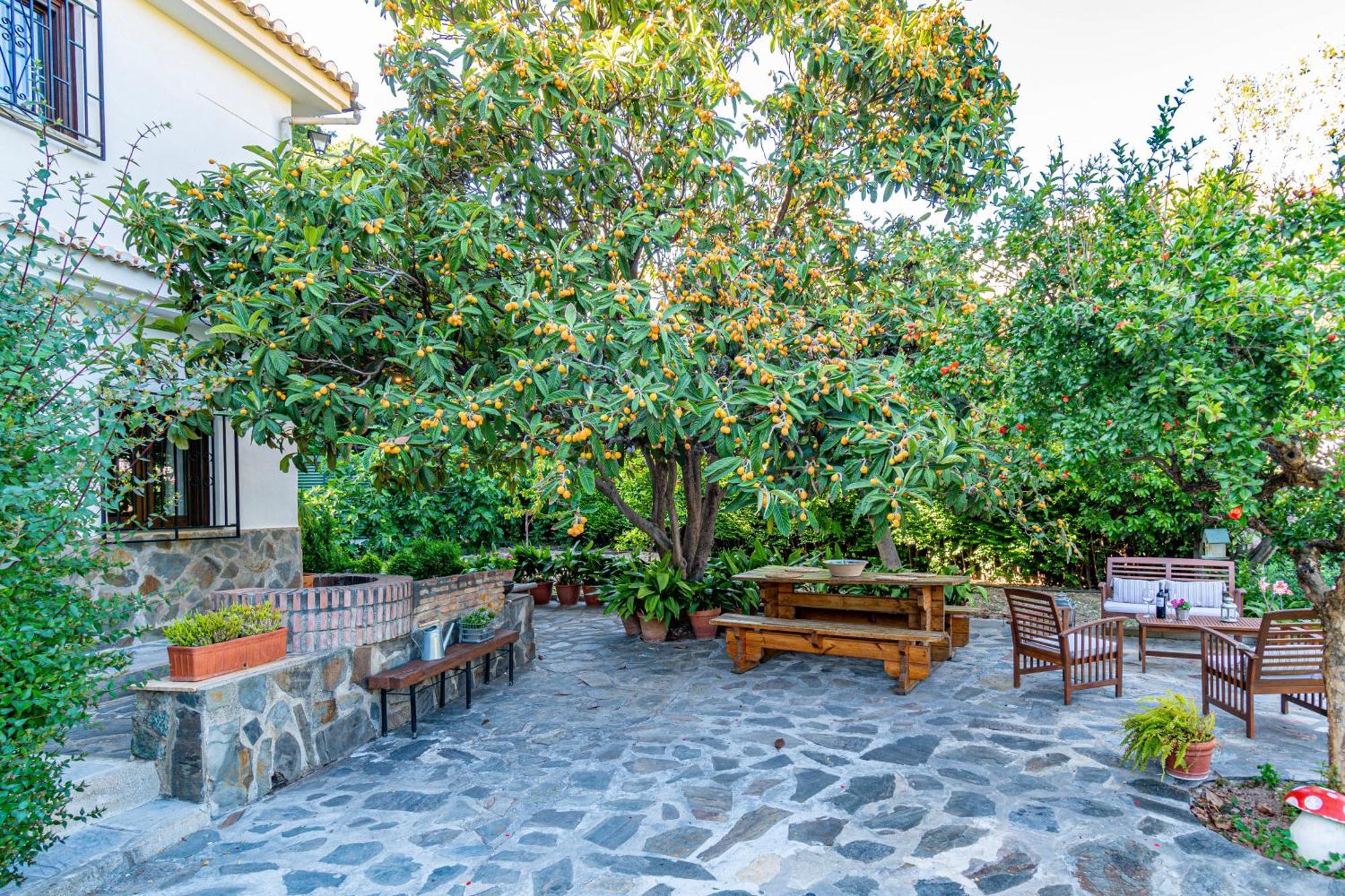 Casa Rural Olivillas Garden-Sierra Nevada Güéjar Sierra Eksteriør billede