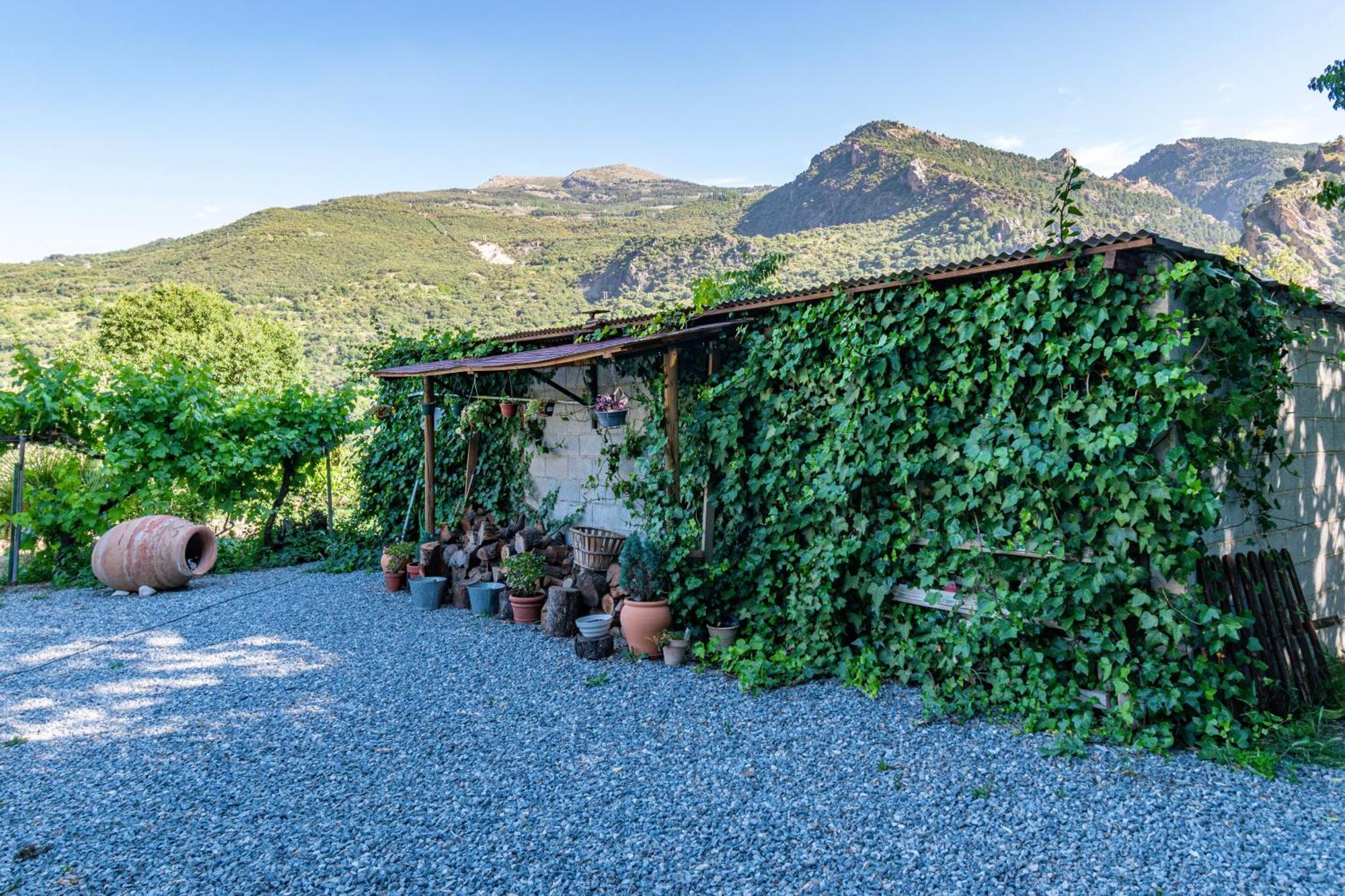 Casa Rural Olivillas Garden-Sierra Nevada Güéjar Sierra Eksteriør billede